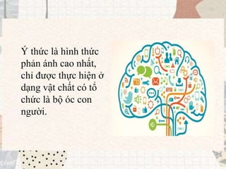 Ý thức là hình thức
phản ánh cao nhất,
chỉ được thực hiện ở
dạng vật chất có tổ
chức là bộ óc con
người.
 