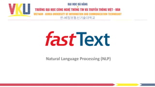 Natural Language Processing (NLP)
 