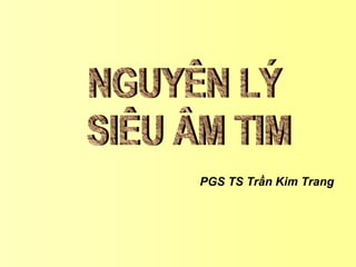 PGS TS Trần Kim Trang
 
