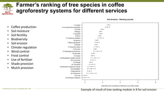 Ranking Using Trees Local tree knowledge on coffee agroforestry systems in mountainous ...