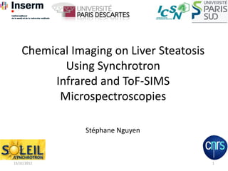 Chemical Imaging on Liver Steatosis
Using Synchrotron
Infrared and ToF-SIMS
Microspectroscopies
113/11/2012
Stéphane Nguyen
 