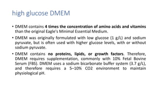 NGUYENTHINHI-W3.pptx