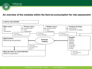 Reducing disease risks and improving food safety in smallholder pig value chains in Vietnam: Risk assessment component