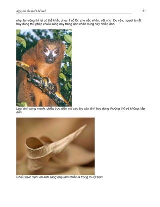 Nguyên tắc thiết kế web 57
nhẹ, lan rộng thì lại có thể khắc phục 1 số lỗi: che nếp nhăn, vêt nhơ. Do vậy, người ta rất
hay dùng thủ pháp chiếu sáng này trong ảnh chân dung hay nhiếp ảnh.
Loại ánh sáng mạnh, chiếu trực diện mà các tay săn ảnh hay dùng thường thô và không hấp
dẫn.
Chiếu trực diện với ánh sáng nhẹ làm chiếc lá trông mượt hơn.
 