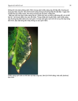 Nguyên tắc thiết kế web 59
không khí cho toàn phông cảnh. Nhìn chung cách chiếu sáng này rất hấp dẫn, thường sử
dụng tạo hiệu ứng lớn. Nó chính là ánh sáng chúng ta thường thấy khi bắt đầu 1 ngày mới
và kết thúc lúc chiệu muộn. Nó cũng có trong các bộ phim, nhiếp ảnh.
Mặt hạn chế của cách chiếu sáng này là 1 phần bức ảnh có thể bị mất bóng đổ, nó có thể
làm lộ 1 số nhược điểm như các vết nhăn. Trong nhiếp ảnh truyền thần, cách chiếu sáng
này thường đa phần dành cho nam giới vì nó tạo cảm giác nam tính khi có sự thô ráp trong
tấm hình, đặc biệt bóng đổ ở đây không có các cạnh mềm.
Chiếu sáng cạnh bên có thể đem lại hiệu ứng cao, làm lộ rõ hình dáng, màu sắc (texture)
bức hình
 