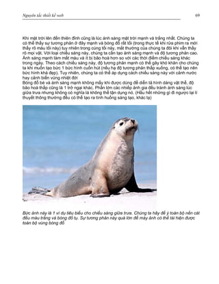 Nguyên tắc thiết kế web 69
Khi mặt trời lên đến thiên đỉnh cũng là lúc ánh sáng mặt trời mạnh và trắng nhất. Chúng ta
có thể thấy sự tương phản ở đây mạnh và bóng đổ rất tối (trong thực tế khi rửa phim ra mới
thấy rõ màu tối này) tuy nhiên trong cùng tối này, mắt thường của chúng ta đôi khi vẫn thấy
rõ mọi vật. Với loại chiếu sáng này, chúng ta cần tạo ánh sáng mạnh và độ tương phản cao.
Ánh sáng mạnh làm mất màu và ít bị bão hoà hơn so với các thời điểm chiếu sáng khác
trong ngày. Theo cách chiếu sáng này, độ tương phản mạnh có thể gây khó khăn cho chúng
ta khi muốn tạo bức 1 bức hình cuốn hút (nếu hạ độ tương phản thấp xuống, có thể tạo nên
bức hình khá đẹp). Tuy nhiên, chúng ta có thể áp dụng cách chiếu sáng này với cảnh nước
hay cảnh biển vùng nhiệt đới
Bóng đổ bé và ánh sáng mạnh không mấy khi được dùng để diễn tả hình dáng vật thể, độ
bão hoà thấp cũng là 1 trở ngại khác. Phần lớn các nhiếp ảnh gia đều tránh ánh sáng lúc
giữa trưa nhưng không có nghĩa là không thể tận dụng nó. (Hầu hết những gì đi ngược lại lí
thuyết thông thường đều có thể tạo ra tình huống sáng tạo, khác lạ)
Bức ảnh này là 1 ví dụ tiêu biểu cho chiếu sáng giữa trưa. Chúng ta hãy để ý toàn bộ nền cát
đều màu trắng và bóng đổ tụ. Sự tương phản này quá lớn để máy ảnh có thể tái hiện được
toàn bộ vùng bóng đổ
 