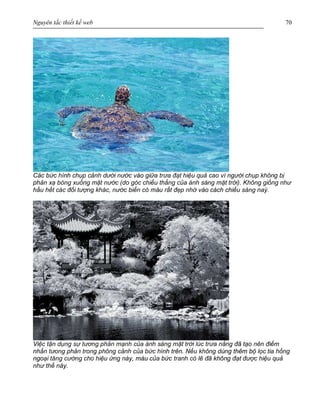 Nguyên tắc thiết kế web 70
Các bức hình chụp cảnh dưới nước vào giữa trưa đạt hiệu quả cao vì người chụp không bị
phản xạ bóng xuống mặt nước (do góc chiếu thẳng của ánh sáng mặt trời). Không giống như
hầu hết các đối tượng khác, nước biển có màu rất đẹp nhờ vào cách chiếu sáng naỳ.
Việc tận dụng sự tương phản mạnh của ánh sáng mặt trời lúc trưa nắng đã tạo nên điểm
nhấn tưong phản trong phông cảnh của bức hình trên. Nếu không dùng thêm bộ lọc tia hồng
ngoại tăng cường cho hiệu ứng này, màu của bức tranh có lẽ đã không đạt được hiệu quả
như thế này.
 