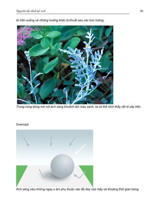 Nguyên tắc thiết kế web 80
từ trên xuống và những hướng khác bị khuất sau các bức tường.
Trong vùng bóng mở với ánh sáng khuếch tán màu xanh, ta có thể nhìn thấy rất rõ cây trên.
Overcast
Ánh sáng vào những ngay u ám phụ thuộc vào độ dày của mây và khoảng thời gian trong
 