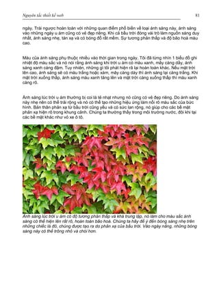 Nguyên tắc thiết kế web 81
ngày. Trái ngược hoàn toàn với những quan điểm phổ biến về loại ánh sáng này, ánh sáng
vào những ngày u ám cũng có vẻ đẹp riêng. Khi cả bầu trời đóng vài trò làm nguồn sáng duy
nhất, ánh sáng nhẹ, tán xạ và có bóng đổ rất mềm. Sự tương phản thấp và độ bão hoà màu
cao.
Màu của ánh sáng phụ thuộc nhiều vào thời gian trong ngày. Tôi đã từng nhìn 1 biểu đồ ghi
nhiệt độ màu sắc và nó nói rằng ánh sáng khi trời u ám có màu xanh, mây càng dầy, ánh
sáng xanh càng đậm. Tuy nhiên, những gì tôi phát hiện râ lại hoàn toàn khác. Nếu mặt trời
lên cao, ánh sáng sẽ có màu trắng hoặc xám, mây càng dày thì ánh sáng lại càng trắng. Khi
mặt trời xuống thấp, ánh sáng màu xanh tăng lên và mặt trời càng xuống thấp thì màu xanh
càng rõ.
Ánh sáng lúc trời u ám thường bị coi là tẻ nhạt nhưng nó cũng có vẻ đẹp riêng. Do ánh sáng
này nhẹ nên có thể trải rộng và nó có thể tạo những hiệu ứng làm nổi rõ màu sắc của bức
hình. Bản thân phản xạ từ bầu trời cũng yếu và có sức lan rộng, nó giúp cho các bề mặt
phản xạ hiện rõ trong khung cảnh. Chúng ta thường thấy trong môi trường nước, đôi khi tại
các bề mặt khác như vỏ xe ô tô.
Ánh sáng lúc trời u ám có độ tương phản thấp và khá trung lập, nó làm cho màu sắc ánh
sáng có thể hiện lên rất rõ, hoàn toàn bão hoà. Chúng ta hãy để ý đến bóng sáng nhẹ trên
những chiếc lá đỏ, chúng được tạo ra do phản xạ của bầu trời. Vào ngày nắng, những bóng
sáng này có thể trông nhỏ và chói hơn.
 