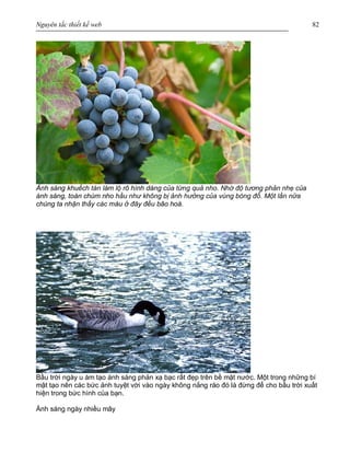 Nguyên tắc thiết kế web 82
Ánh sáng khuếch tán làm lộ rõ hình dáng của từng quả nho. Nhờ độ tương phản nhẹ của
ánh sáng, toàn chùm nho hầu như không bị ảnh hưởng của vùng bóng đổ. Một lần nữa
chúng ta nhận thấy các màu ở đây đều bão hoà.
Bầu trời ngày u ám tạo ánh sáng phản xạ bạc rất đẹp trên bề mặt nước. Một trong những bí
mật tạo nên các bức ảnh tuyệt vời vào ngày không nắng ráo đó là đừng để cho bầu trời xuất
hiện trong bức hình của bạn.
Ánh sáng ngày nhiều mây
 