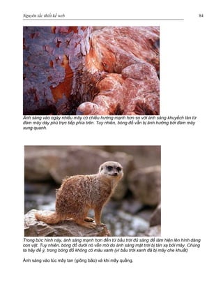 Nguyên tắc thiết kế web 84
Ánh sáng vào ngày nhiều mây có chiều hướng mạnh hơn so với ánh sáng khuyếch tán từ
đám mây dày phủ trực tiếp phía trên. Tuy nhiên, bóng đổ vẫn bị ảnh hưởng bởi đám mây
xung quanh.
Trong bức hình này, ánh sáng mạnh hơn đến từ bầu trời đủ sáng để làm hiện lên hình dáng
con vật. Tuy nhiên, bóng đổ dưới nó vẫn mờ do ánh sáng mặt trời bị tán xạ bởi mây. Chúng
ta hãy để ý, trong bóng đổ không có màu xanh (vì bầu trời xanh đã bị mây che khuất)
Ánh sáng vào lúc mây tan (giông bão) và khi mây quầng.
 