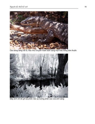 Nguyên tắc thiết kế web 86
Các bóng sáng rất rõ, hầu như chuyển hoàn toàn sang một màu trắng đơn thuần.
Máy ảnh chỉ đủ ghi lại phần nào sự tương phản cao của ánh sáng.
 