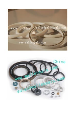CNG NGV fuel nozzel lip seals