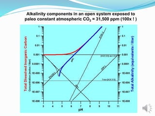 Alkalinity components in an open system exposed to
paleo constant atmospheric CO2 = 31,500 ppm (100x ! )
 