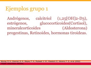 Andrógenos, calcitriol (1,25[OH]2-D3),
estrógenos, glucocorticoides(Cortisol),
mineralcorticoides (Aldosterona)
progestinas, Retinoides, hormonas tiroideas.
Murray, R. K., Granner, D. K., Mayes, P. A., Rodwell, V. W., Waisbich, E., Moreno, F. S., et al. (2002).
Harper: bioquímica. Atheneu.
Ejemplos grupo 1
 