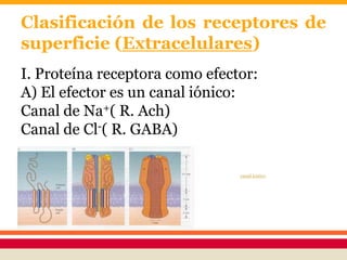 Clasificación de los receptores de
superficie (Extracelulares)
I. Proteína receptora como efector:
A) El efector es un canal iónico:
Canal de Na+( R. Ach)
Canal de Cl-( R. GABA)
canal ionico
 