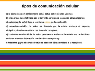 a) la comunicación paracrina: la señal actúa sobre células vecinas;
b) endocrina: la señal viaja por el torrente sanguíneo y alcanza células lejanas;
c) autocrina: la señal llega a la misma célula de la cual salió;
d) neurotransmisión: la señal es liberada por la célula emisora al espacio
sináptico, donde es captada por la célula receptora;
e) contactos célula-célula: la señal permanece anclada a la membrana de la célula
emisora mientras interactúa con la célula receptora y
f) mediante gaps: la señal se difunde desde la célula emisora a la receptora.
tipos de comunicación celular
 