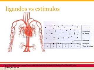 ligandos vs estimulos
http://t1.gstatic.com/images?q=tbn:ANd9GcSJlN3XrDoT8xhOrEI9dlXmt7un73kHUXYvt3J
pyVB4lg9ZoajKew
 