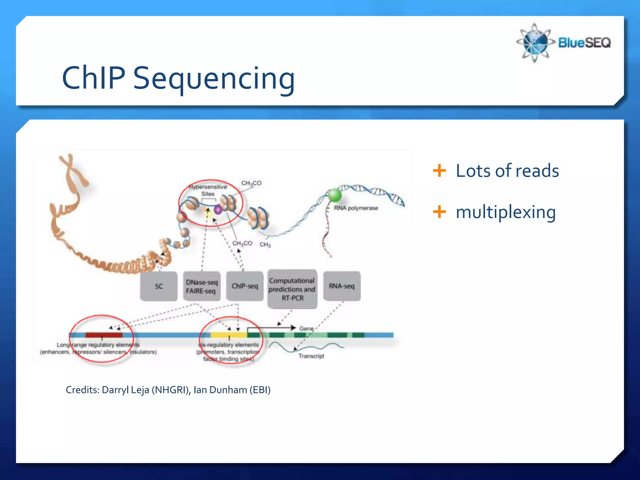 ChIP Sequencing

                                                  Lots of reads

                                                  multiplexing




Credits: Darryl Leja (NHGRI), Ian Dunham (EBI)
 