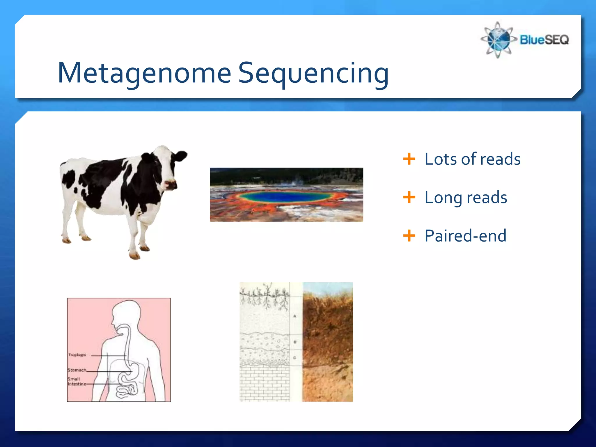 Metagenome Sequencing

                         Lots of reads

                         Long reads

                         Paired-end
 