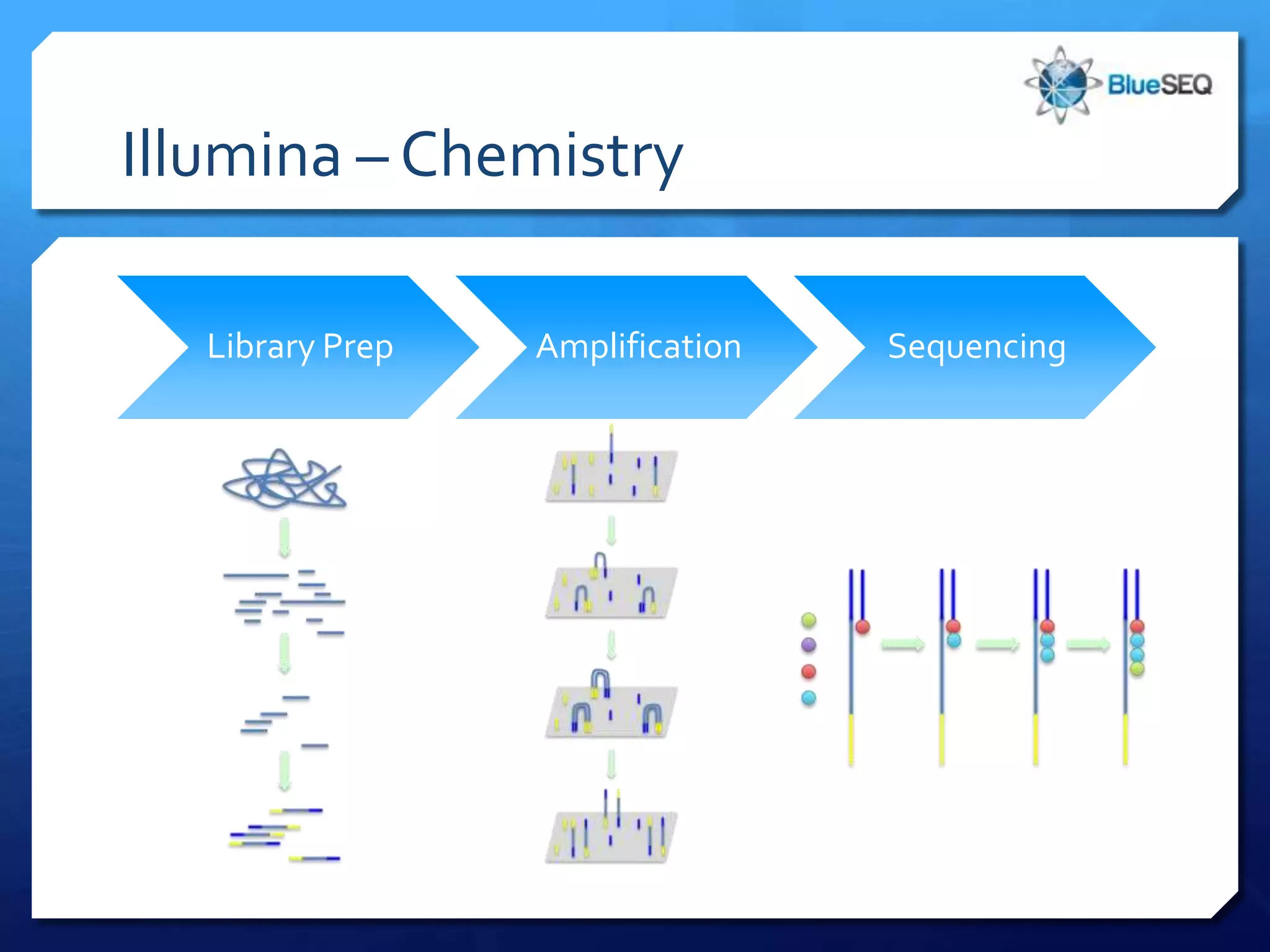 Illumina – Chemistry

   Library Prep   Amplification   Sequencing
 