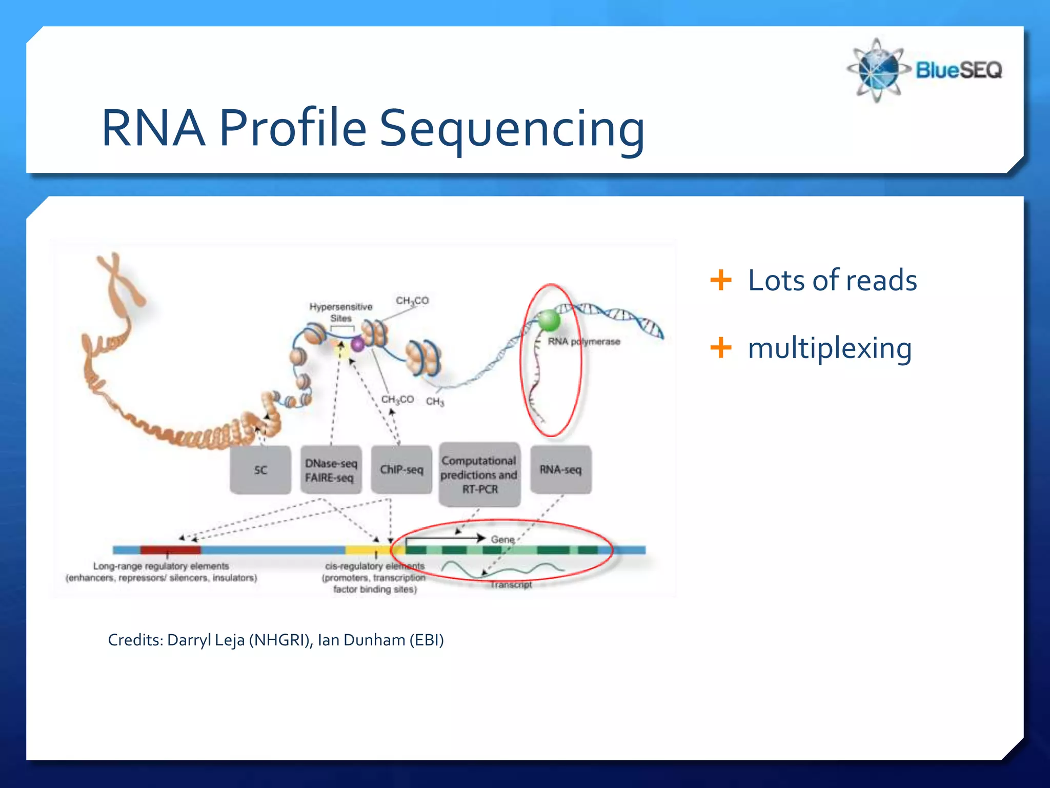 RNA Profile Sequencing
                                                 ILMN HiSeq     ✔
                                                 ILMN MiSeq

                                                      SOLiD     ✔
                                                    Ion PGM


                                                  Ion Proton    ✔

                                                 454 GS FLX+


Credits: Darryl Leja (NHGRI), Ian Dunham (EBI)     454 GS Jr.


                                                   PacBio RS
 