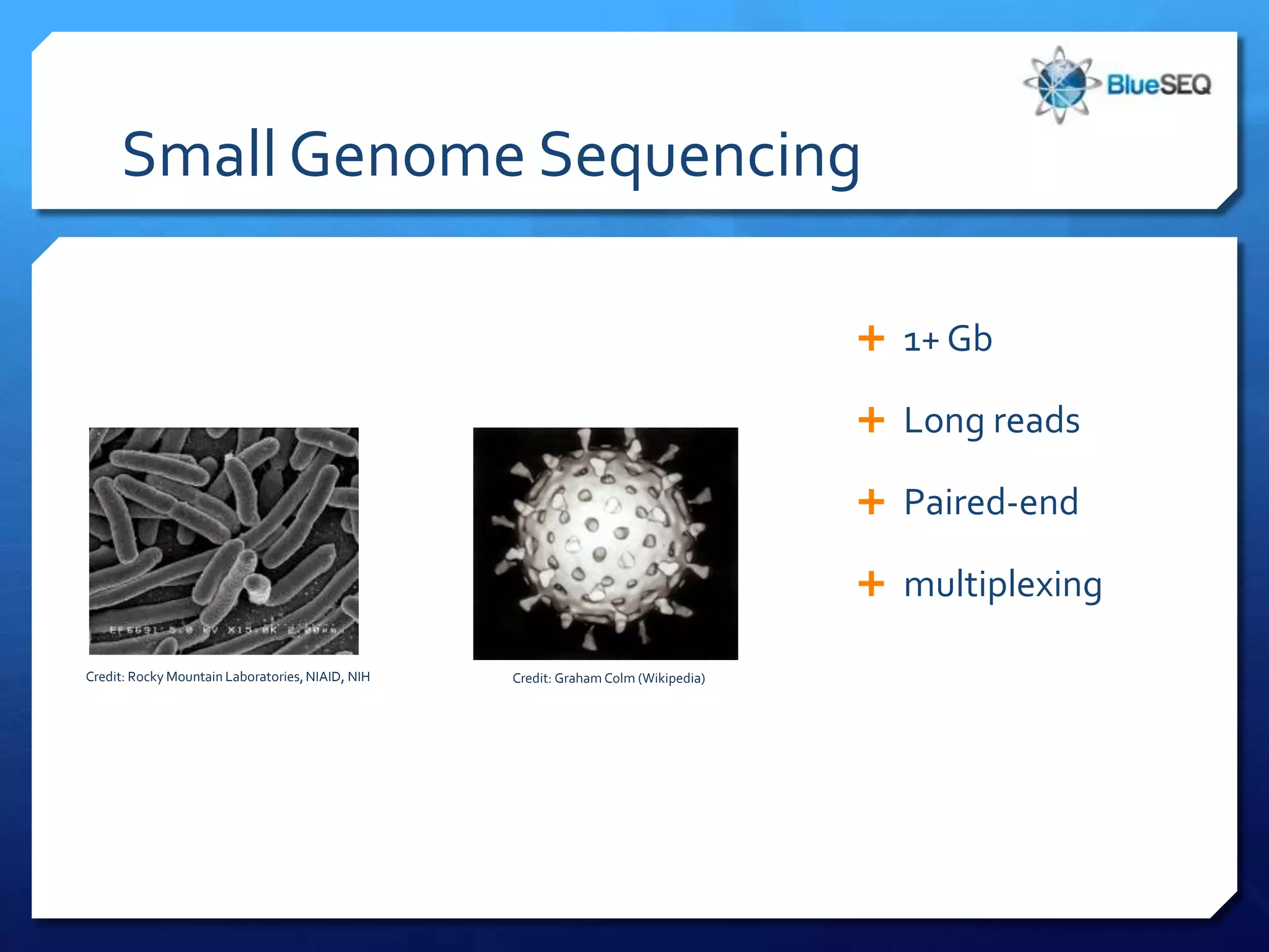 Small Genome Sequencing

                                                                                     1+ Gb

                                                                                     Long reads

                                                                                     Paired-end

                                                                                     multiplexing

Credit: Rocky Mountain Laboratories, NIAID, NIH   Credit: Graham Colm (Wikipedia)
 