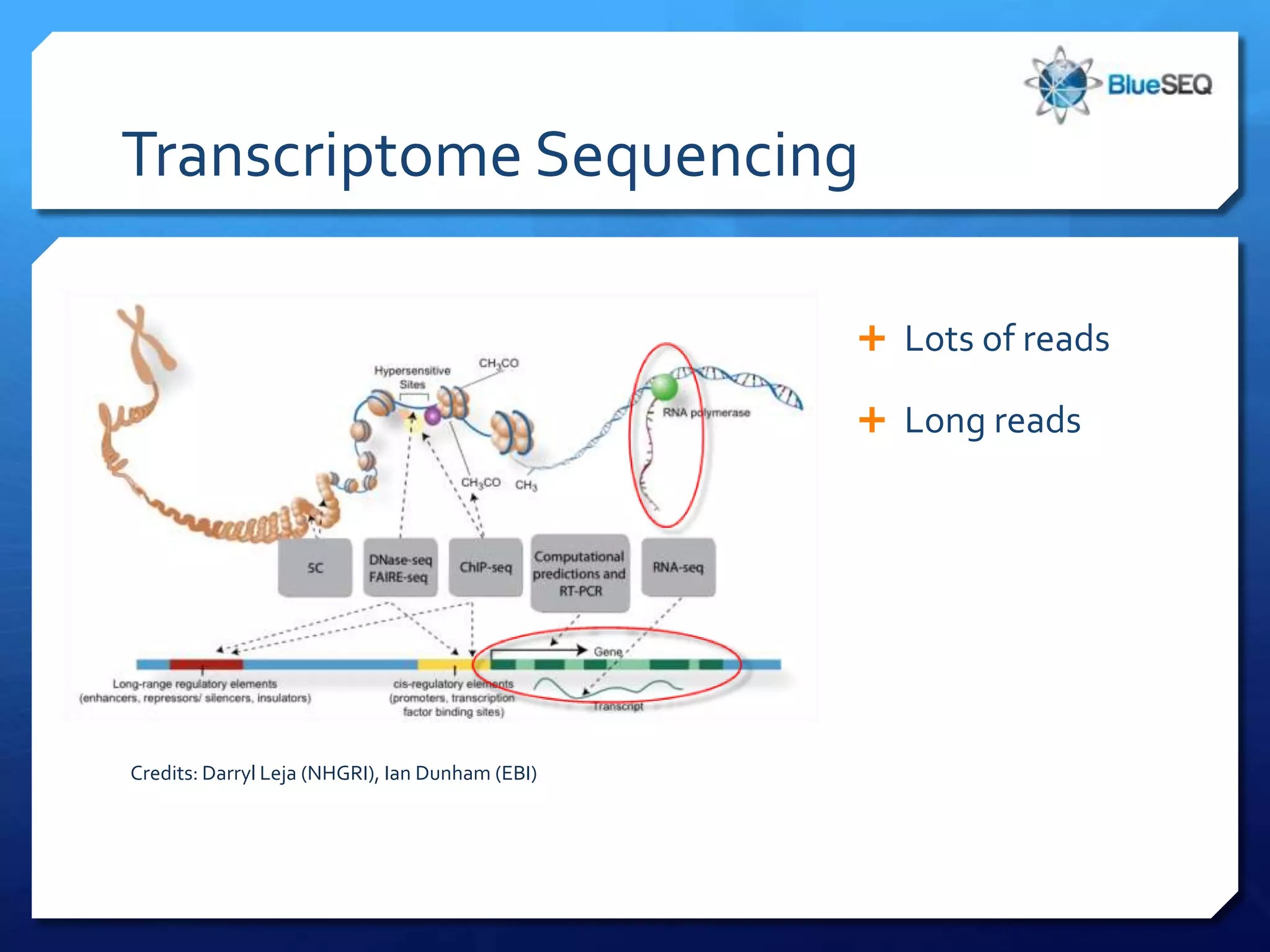 Transcriptome Sequencing

                                                  Lots of reads

                                                  Long reads




Credits: Darryl Leja (NHGRI), Ian Dunham (EBI)
 