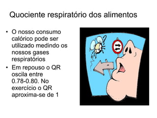 Quociente respiratório dos alimentos O nosso consumo calórico pode ser utilizado medindo os nossos gases respiratórios  Em repouso o QR oscila entre 0.78-0.80. No exercício o QR aproxima-se de 1  