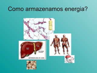 Como armazenamos energia? 