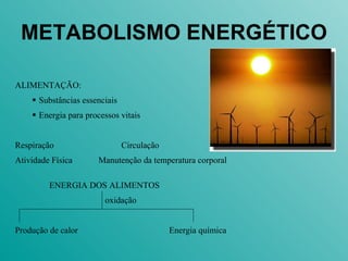 METABOLISMO ENERGÉTICO 