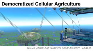 Democratized Cellular Agriculture
NIIJIMA MEGAFLOAT “ALGAVITA COMPLEX”, Earth A.D.2203
 