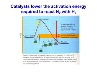 Catalysts lower the activation energy
     required to react N2 with H2
 