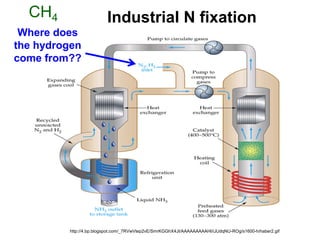CH4                    Haber-BoschN fixation
                         Industrial process
 Where does
the hydrogen
come from??




         http://4.bp.blogspot.com/_7RVwVtep2vE/SmrKGGhX4JI/AAAAAAAAAHI/iJUdqNU-ROg/s1600-h/haber2.gif
 