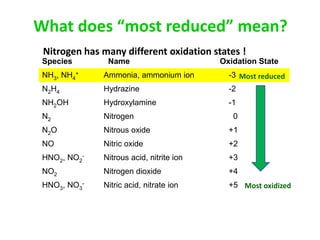 What does “most reduced” mean?
 Nitrogen has many different oxidation states !
 Species       Name                       Oxidation State
 NH3, NH4+    Ammonia, ammonium ion         -3 Most reduced
 N2H4         Hydrazine                     -2
 NH2OH        Hydroxylamine                 -1
 N2           Nitrogen                       0
 N2O          Nitrous oxide                 +1
 NO           Nitric oxide                  +2
 HNO2, NO2-   Nitrous acid, nitrite ion     +3
 NO2          Nitrogen dioxide              +4
 HNO3, NO3-   Nitric acid, nitrate ion      +5 Most oxidized
 