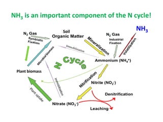 NH3 is an important component of the N cycle!

                 Soil                   NH3




 Plant biomass
 