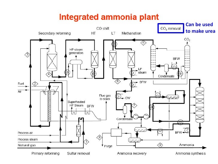 Ammonia Converter Pdf To Words