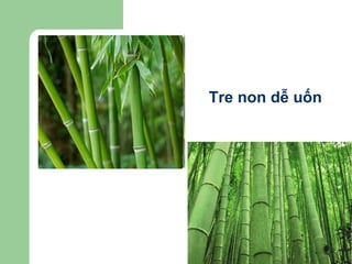 Tre non dễ  