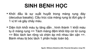 SINH BỆNH HỌC
• Khởi đầu là sự xuất huyết trong màng rụng đáy
(decudua basalis). Cấu trúc của màng rụng bị đứt gáy ở
1 vị trí và gây chảy máu.
• Diện tích khối máu tụ tăng dần , hình thành 1 khối máu
tụ ở màng rụng => Tách màng đệm khỏi lớp cơ tử cung
=> Bóc tách lan rộng và chèn ép mô nhau lân cận =>.
Bánh nhau bị bóc tách 1 phần hoặc toàn bộ.
Nguồn: Williams Obstetrics 24th, Placental Abruption, trang 793
 