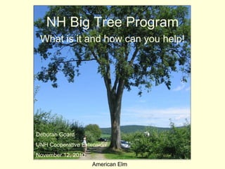 NH Big Tree Program What is it and how can you help! American Elm Deborah Goard UNH Cooperative Extension November 12, 2010 