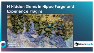 N Hidden Gems in Hippo Forge and
Experience Plugins
Woonsan Ko
December 6, 2017
 