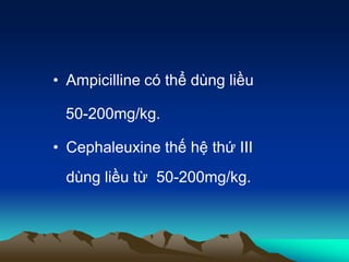 • Ampicilline có thể dùng liều

 50-200mg/kg.

• Cephaleuxine thế hệ thứ III
 dùng liều từ 50-200mg/kg.
 