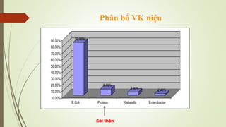 Phân bố VK niệu
82,90%
9,80%
4,90% 2,40%
0,00%
10,00%
20,00%
30,00%
40,00%
50,00%
60,00%
70,00%
80,00%
90,00%
E.Coli Proteus Klebsiella Enterobacter
Sỏi thận
 