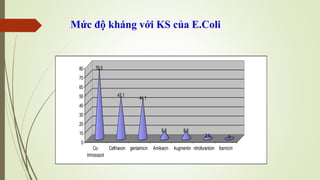 Mức độ kháng với KS của E.Coli
76,5
47,1
44,1
8,8 8,8
2,9 0
0
10
20
30
40
50
60
70
80
Co-
trimoxazol
Ceftriaxon gentamicin Amikacin Augmentin nitrofurantoin fosmicin
 