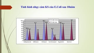 Tình hình nhạy cảm KS của E.Coli sau 10năm
58,3
54,5
85,7
50
96,4
88,2
56,2
23,5
86,7
82,3
100
0
10
20
30
40
50
60
70
80
90
100
Cefoperazone Ceftriaxon Amikacin Co-trimoxazol Augmentin fosmicin
10 năm trước
10 năm sau
 