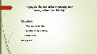 Điều trị khỏi:
+ Thải qua nước tiểu,
+ Lan toả trong tổ chức,
+ Diệt khuẩn,
Kết hợp KS ?
Nguyên tắc của điều trị kháng sinh
trong viêm thận bể thận
 
