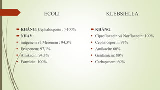 ECOLI
 KHÁNG: Cephalosporin : >100%
 NHẠY:
 imipenem và Meronem : 94,3%
 Ertapenem: 97,1%
 Amikacin: 94,3%
 Formicin: 100%
KLEBSIELLA
 KHÁNG:
 Ciprofloxacin và Norfloxacin: 100%
 Cephalosporin: 93%
 Amikacin: 60%
 Gentamicin: 80%
 Carbapenem: 60%
 