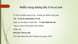 Có thể do nhiễm trùng từ mẹ , thường có nhiễm trùng máu
VK : LCầu B, Klebsiella, E Coli.
Nguy cơ cho thận và toàn thân -- chọc dịch não tuỷ.
Nguy cơ khu trú thứ phát (viêm khớp)
Nhập viện
ĐTrị KS TM kéo dài
Tìm kiếm bệnh tiết niệu? (luồng trào ngược 26%)
Nhiễm trùng đường tiểu ở trẻ sơ sinh
 