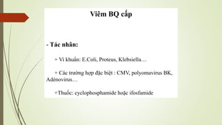 Viêm BQ cấp
- Tác nhân:
+ Vi khuẩn: E.Coli, Proteus, Klebsiella…
+ Các trường hợp đặc biệt : CMV, polyomavirus BK,
Adénovirus…
+Thuốc: cyclophosphamide hoặc ifosfamide
 