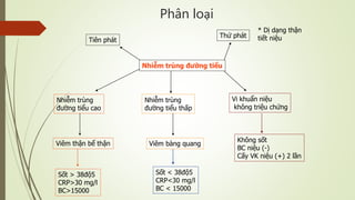 Phân loại
Nhiễm trùng đường tiểu
Viêm thận bể thận Viêm bàng quang
Vi khuẩn niệu
không triệu chứng
Nhiễm trùng
đường tiểu cao
Nhiễm trùng
đường tiểu thấp
Sốt > 38độ5
CRP>30 mg/l
BC>15000
Sốt < 38độ5
CRP<30 mg/l
BC < 15000
Không sốt
BC niệu (-)
Cấy VK niệu (+) 2 lần
Tiên phát
Thứ phát
* Dị dạng thận
tiết niệu
 